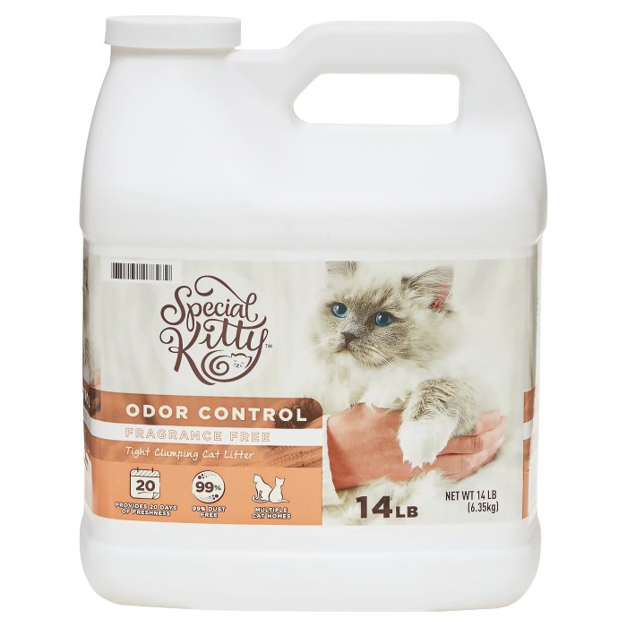 Top Affordable Cat Litter Options For Superior Odor Control | Riosc