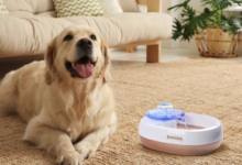 A Review of the 15 Best Pet Water Fountain Brands