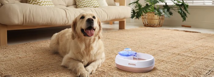 A Review of the 15 Best Pet Water Fountain Brands