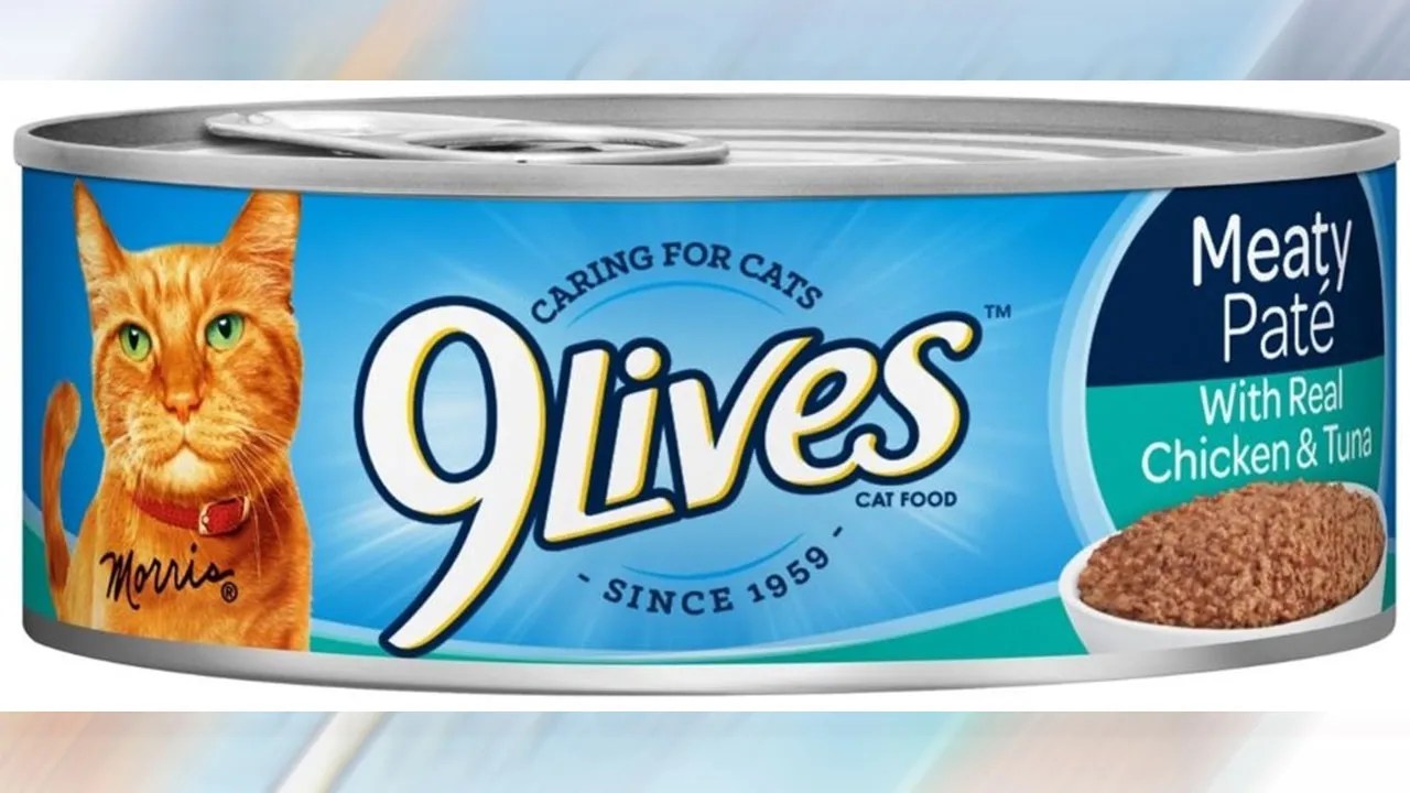 Nationwide recall issued for cat food possibly contaminated with ...