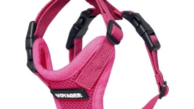 Cat harnesses