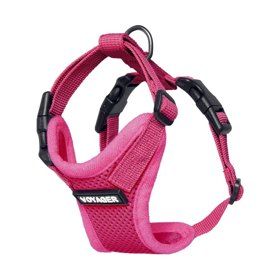 Cat harnesses