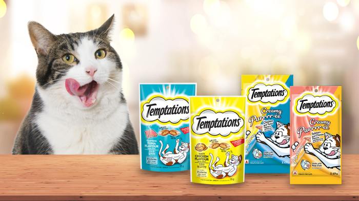 Cat Food That Tastes Like Temptations | Detroit Chinatown