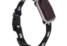 Pet Tracking Collar For Dogs Cats Smart Tracking C... – Grandado