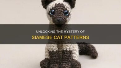The Fascinating World Of Tabby Cat Patterns