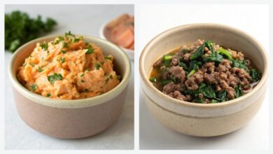 Cats homemade food recipes