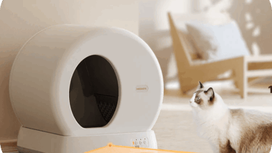10 Best Litters for Odor Control in 2024: Top Products Reviewed
