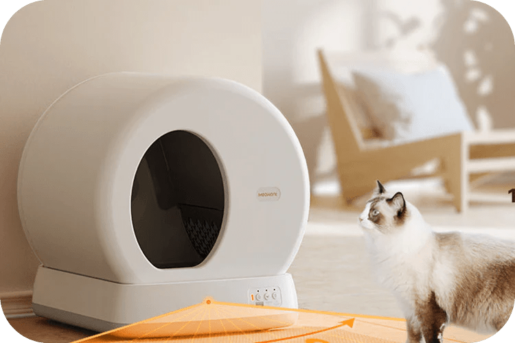 10 Best Litters for Odor Control in 2024: Top Products Reviewed