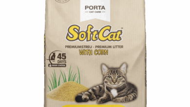 Cat Litter Packaging Reliable #1 Cat Litter Manufacturer
