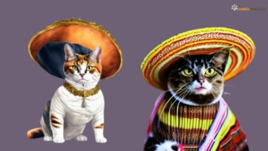 Mexican Cat Names [480+ Unique Ideas for Pets]