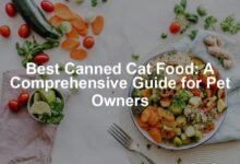 7 Best Canned Cat Food for Indoor Cats (Updated 2018) | Pawsome Kitty