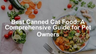 7 Best Canned Cat Food for Indoor Cats (Updated 2018) | Pawsome Kitty