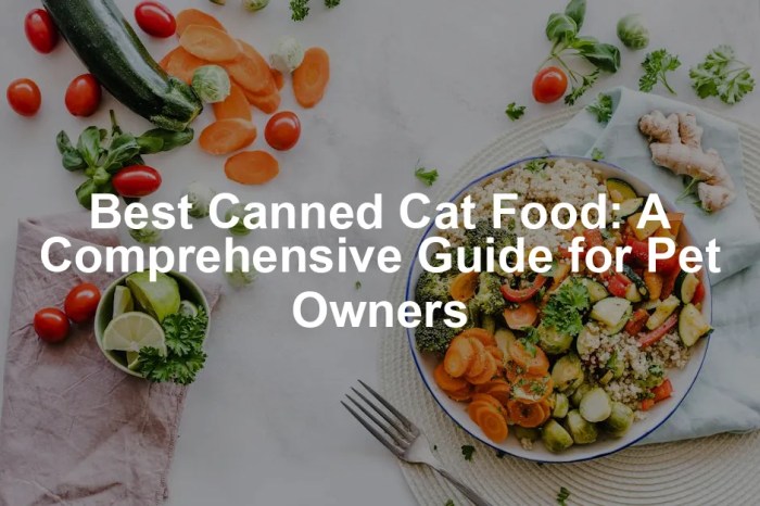 7 Best Canned Cat Food for Indoor Cats (Updated 2018) | Pawsome Kitty