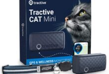 11 Best GPS Trackers for Cats: Keeping Tabs On Your Feline Friend ...