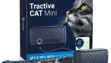 11 Best GPS Trackers for Cats: Keeping Tabs On Your Feline Friend ...