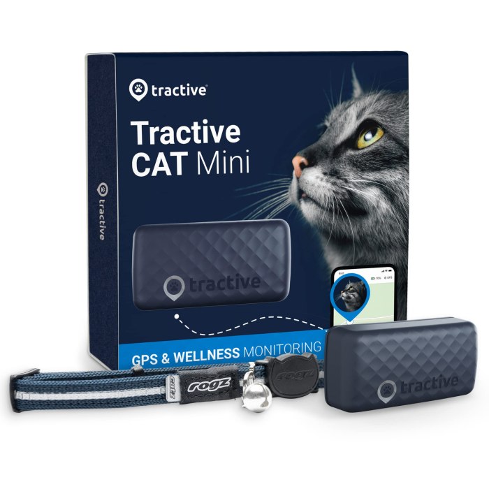 11 Best GPS Trackers for Cats: Keeping Tabs On Your Feline Friend ...