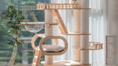 Cat trees for large cats