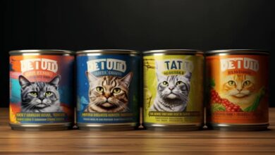15 Best Wet Cat Food Manufacturers and Suppliers (2026)