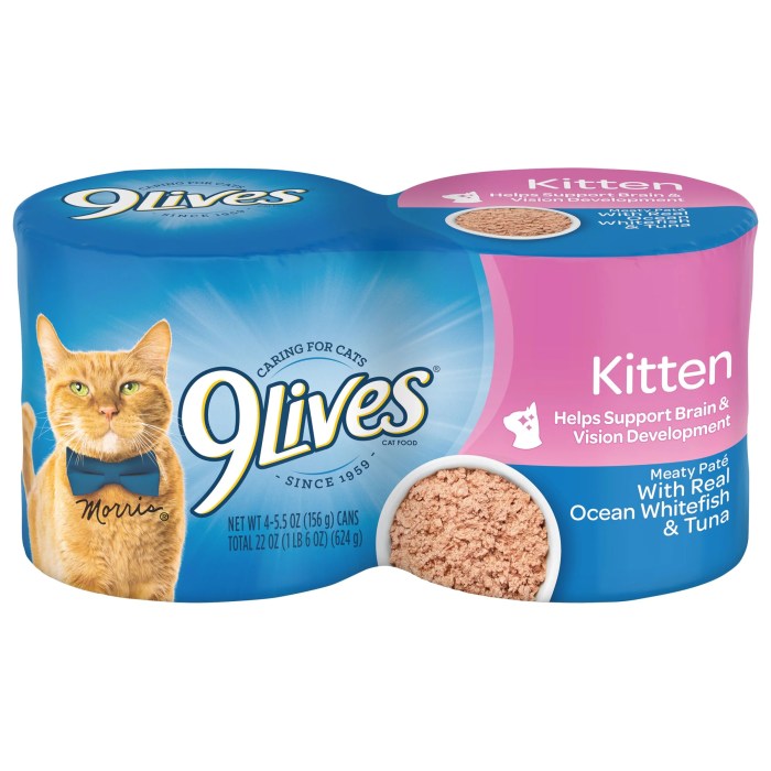 Authority Wet Kitten Food at Norma Plouffe blog