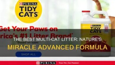 Fresh Multi-Cat Litter For A Happy Feline Family | PetShun