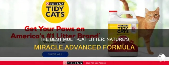 Fresh Multi-Cat Litter For A Happy Feline Family | PetShun