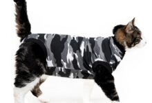 5 Cat Cone Alternatives