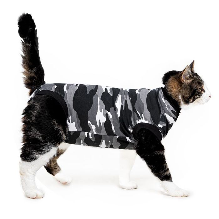 5 Cat Cone Alternatives