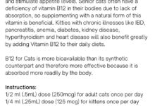 Vitamin B12 Toxicity In Cats at Erin Love blog