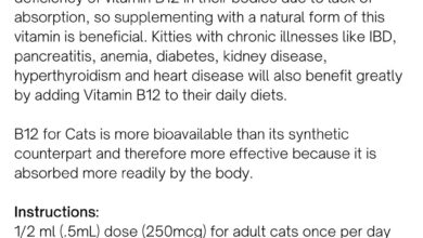 Vitamin B12 Toxicity In Cats at Erin Love blog