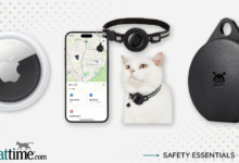 Best Cat GPS Trackers for Worry-Free Pet Parenting