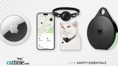 Best Cat GPS Trackers for Worry-Free Pet Parenting