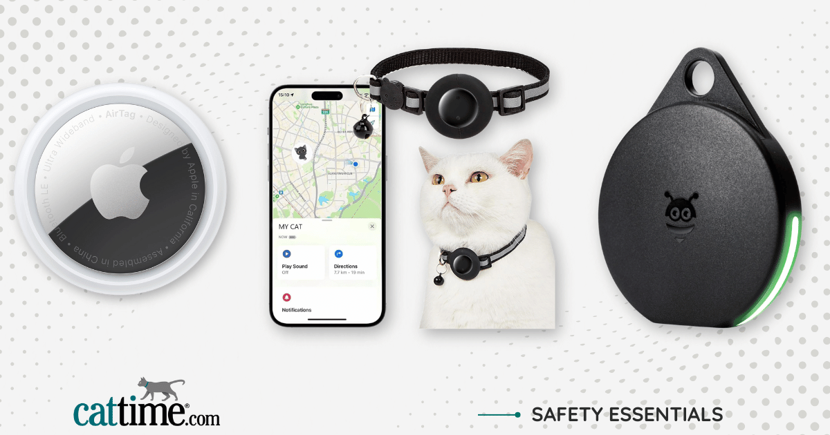 Best Cat GPS Trackers for Worry-Free Pet Parenting