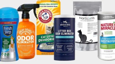 Best Odor Control Cat Litter: Top Picks for Fresh, Clean Homes - Breeds ...