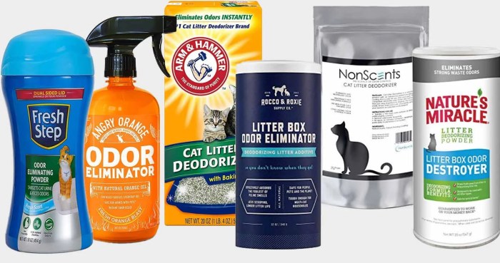 Best Odor Control Cat Litter: Top Picks for Fresh, Clean Homes - Breeds ...