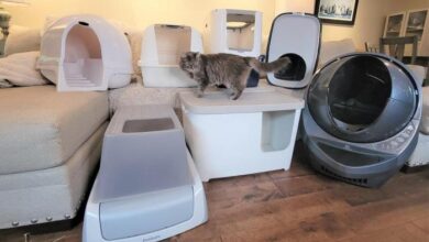 Dog proof cat litter box