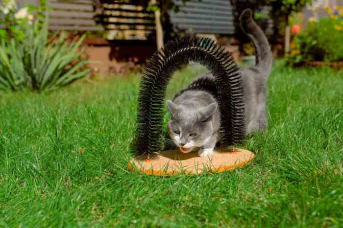 Why Does My Cats Tail Vibrate