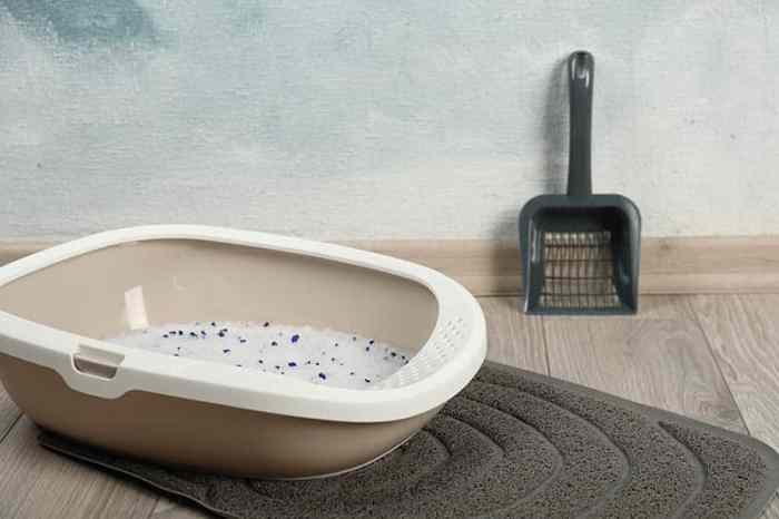 Low dust cat litter