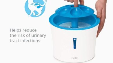 Top 15 Best Cat Water Fountains for Happy Pets – Buying Guide 2019