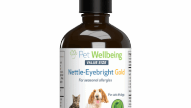 What are the Best Medicine for Cat Allergies?