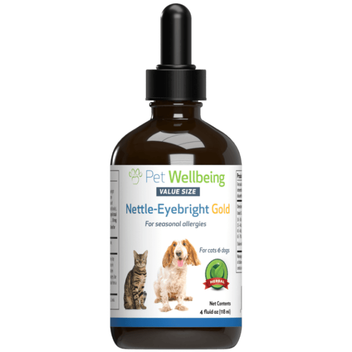 What are the Best Medicine for Cat Allergies?