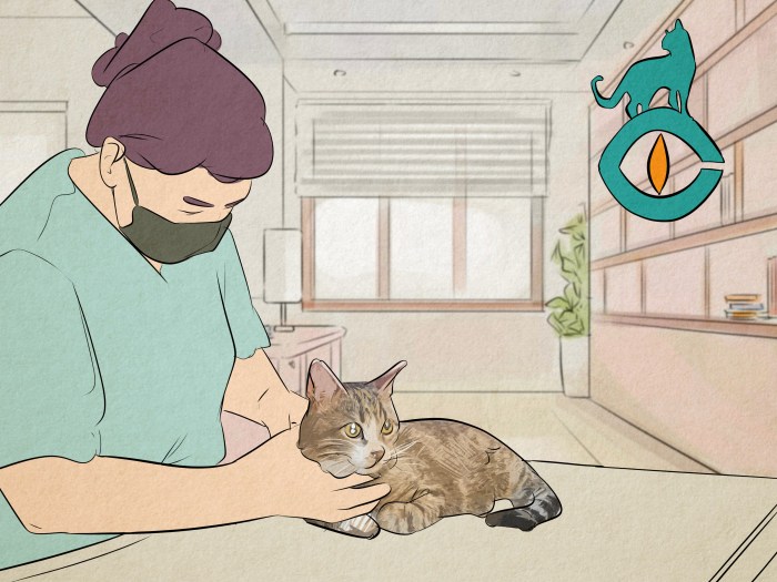 The 15 Most Expensive Cat Breeds