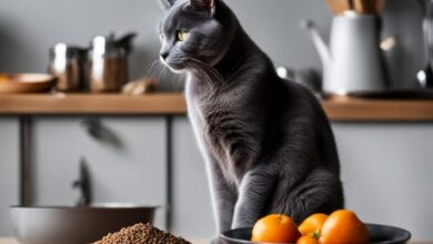 Satisfy Your Russian Blue Cat's Cravings!