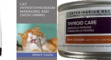 What'S The Best Cat Foods For Hyperthyroidism In 2023?