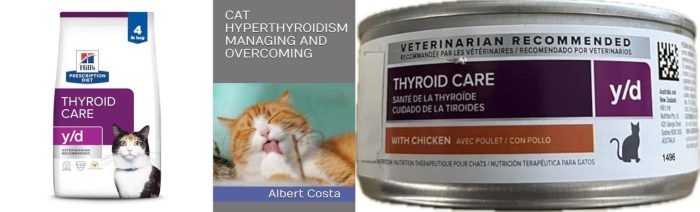 What'S The Best Cat Foods For Hyperthyroidism In 2023?