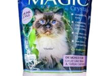 The Best Crystal Cat Litter: 7 No-Mess Choices - Richard Rowlands