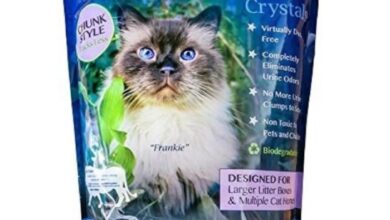 The Best Crystal Cat Litter: 7 No-Mess Choices - Richard Rowlands