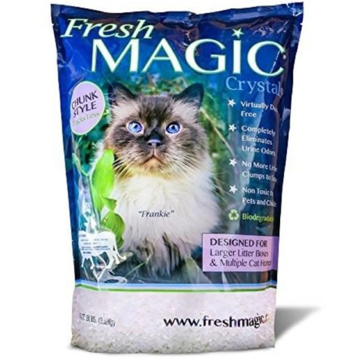 The Best Crystal Cat Litter: 7 No-Mess Choices - Richard Rowlands