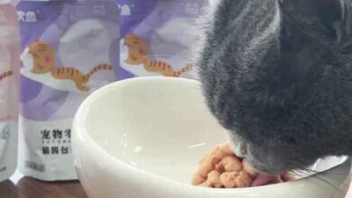 Best 15g lickable liquid cat cream creamy treats snack food wet pet ...
