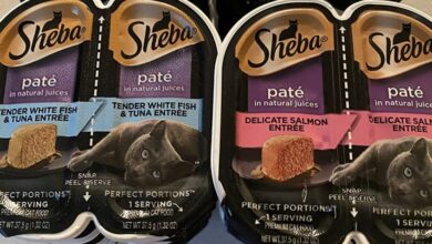 Is Sheba Cat Food Good For Cats ? - 2026
