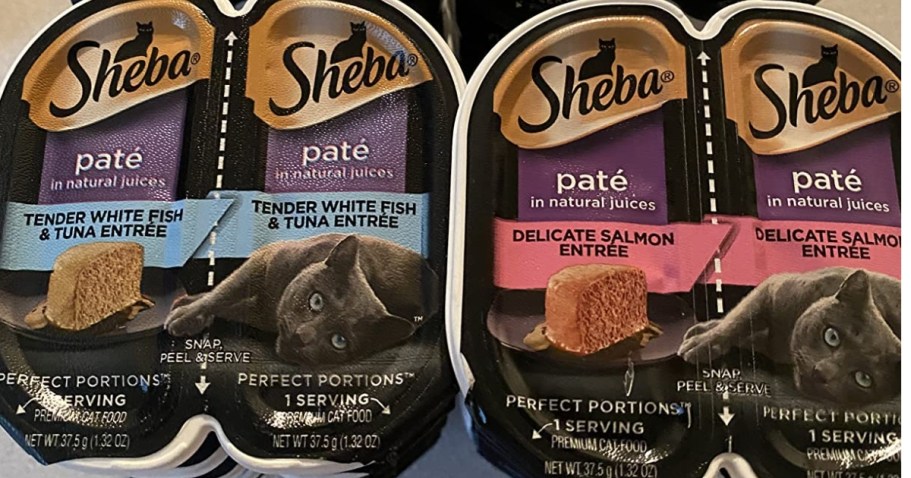 Is Sheba Cat Food Good For Cats ? - 2026